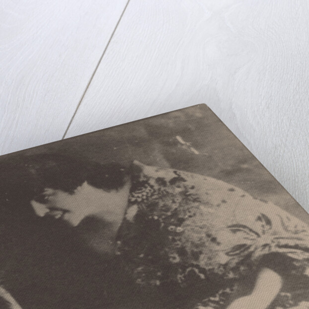 Maria Mikhayovna Glebova-Semyonova, 1919 by Anonymous