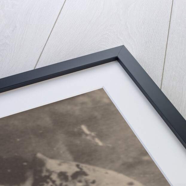 Maria Mikhayovna Glebova-Semyonova, 1919 by Anonymous