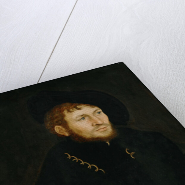 Portrait of Caspar von Köckeritz, c. 1527-1530 by Anonymous