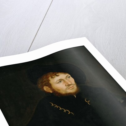 Portrait of Caspar von Köckeritz, c. 1527-1530 by Anonymous