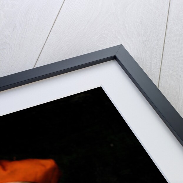 Portrait of Cardinal Bibbiena, c. 1516 by Anonymous