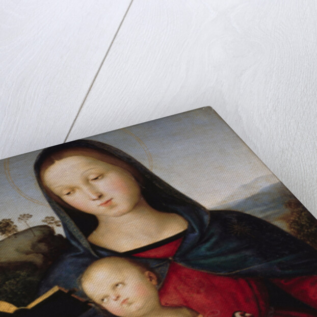 The virgin Mary is reading a book (The Solly Madonna), c. 1502-1503 by Anonymous