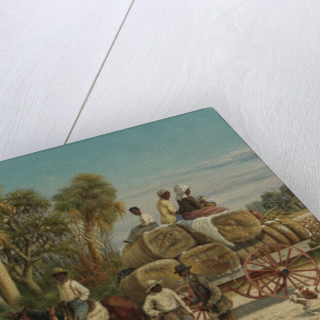 The Cotton Wagon, 1880s by Anonymous