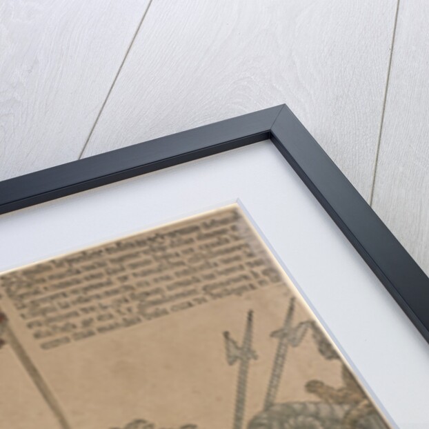 Ceremonial Procession in Bologna on 5 November 1529 by Anonymous