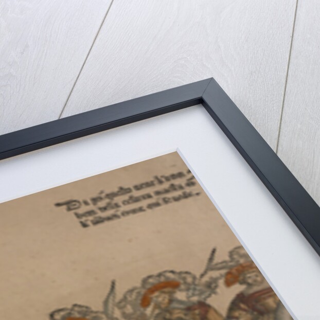 Ceremonial Procession in Bologna on 5 November 1529 by Anonymous