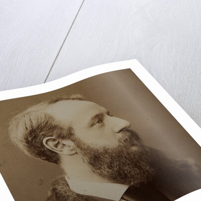 Portrait of Pierre-Jules Hetzel, c. 1875 by Anonymous