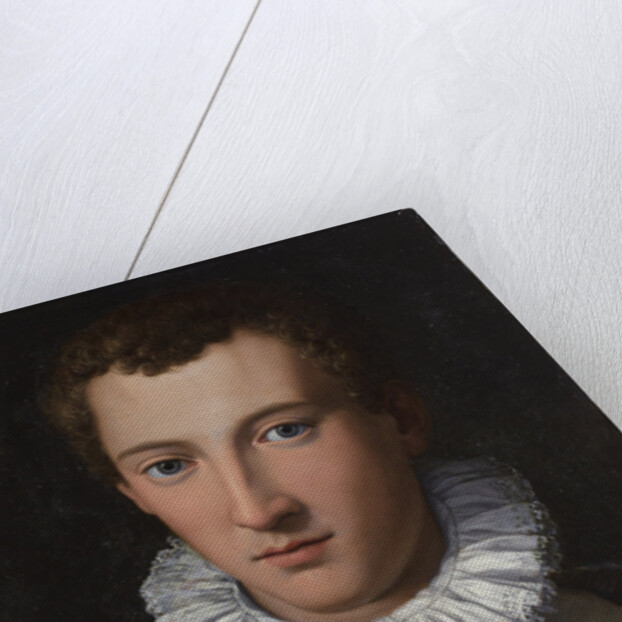 Portrait of a young man , 1565-1569 by Anonymous