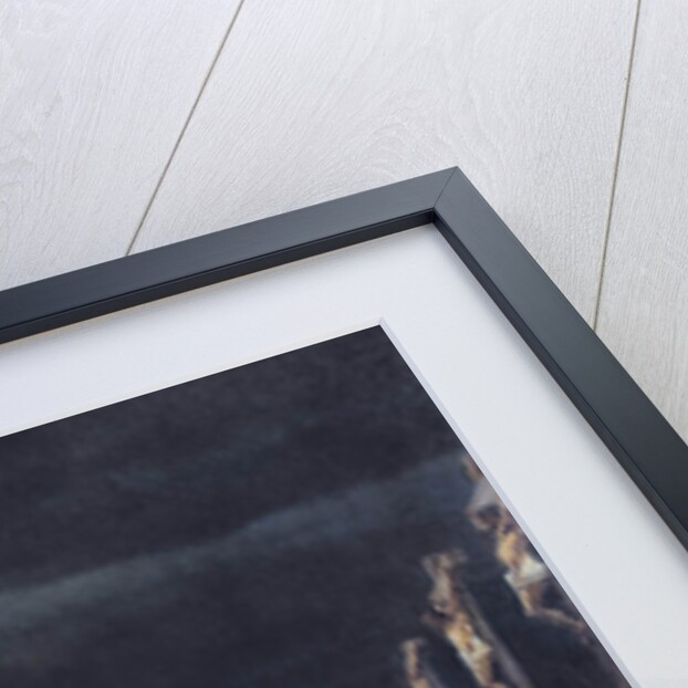 Crucifixion by the Romans, 1887 by Anonymous