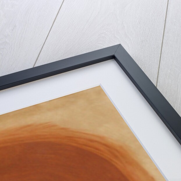 Portrait of Maria Samoylovna Zetlin, née Tumarkina, 1919 by Anonymous