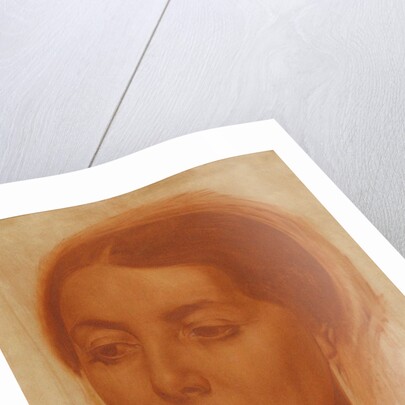 Portrait of Maria Samoylovna Zetlin, née Tumarkina, 1919 by Anonymous