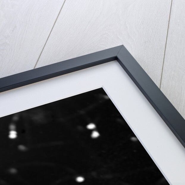 Jerry Fisher by Brian O'Connor