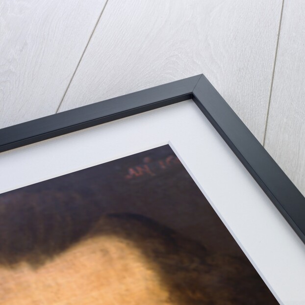 The Sanders Portrait of William Shakespeare, 1603 by Anonymous