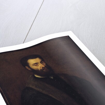 Portrait of Sperone Speroni by Anonymous