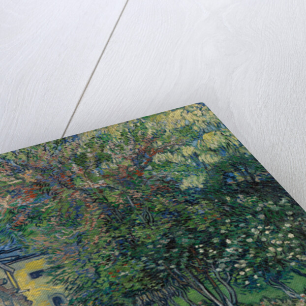 The garden at the asylum at Saint-Rémy, 1889 by Anonymous