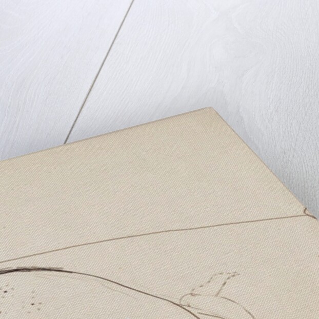 Woman Reclining on a Bed (Anna Akhmatova), c. 1911 by Anonymous