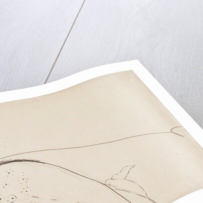 Woman Reclining on a Bed (Anna Akhmatova), c. 1911 by Anonymous