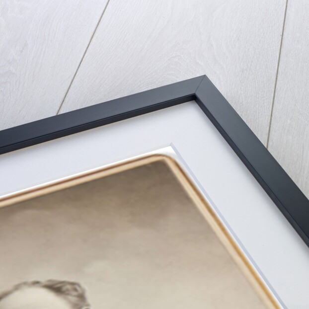 Portrait of Émile Zola, ca 1895-1900 by Anonymous