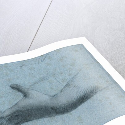 Hand Study by Anonymous