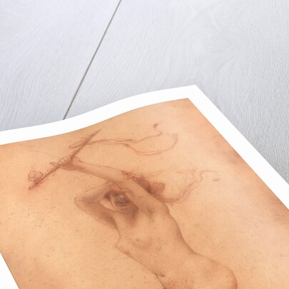 Satyress (A female faun) by Anonymous