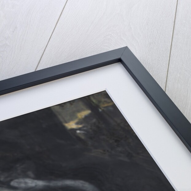 Leda and the Swan by Anonymous