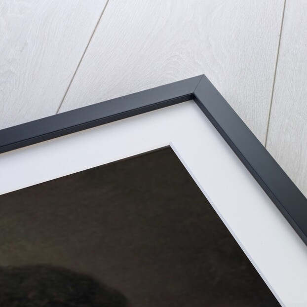 Portrait of the composer Gioachino Antonio Rossini, c. 1830 by Anonymous