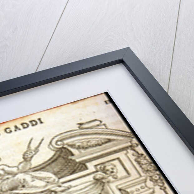 Gaddo Gaddi, ca 1568 by Anonymous