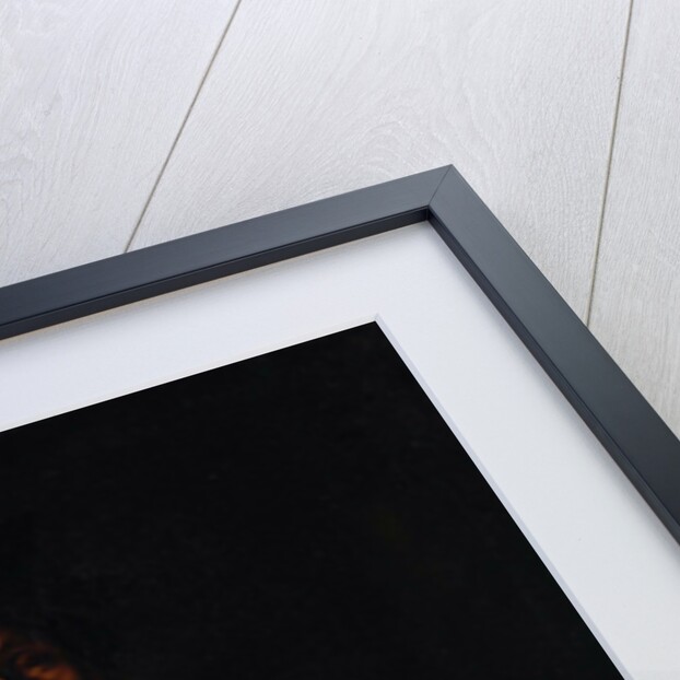 The blind Homer playing the Lira da Braccio, c. 1622 by Anonymous