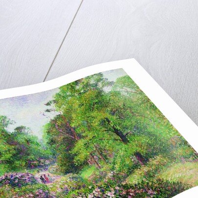 Kew Gardens, Rhododendron Dell, 1892 by Anonymous