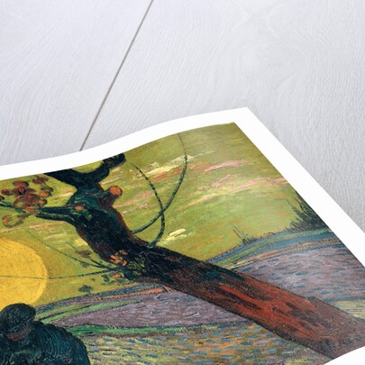The sower, 1888 by Anonymous