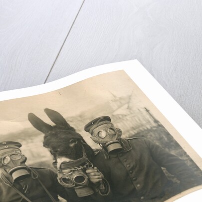 First World War, c. 1915 by Anonymous
