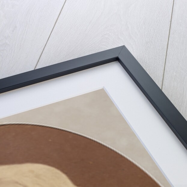 Portrait of the author Ivan Sergeyevich Turgenev, 1879 by Anonymous