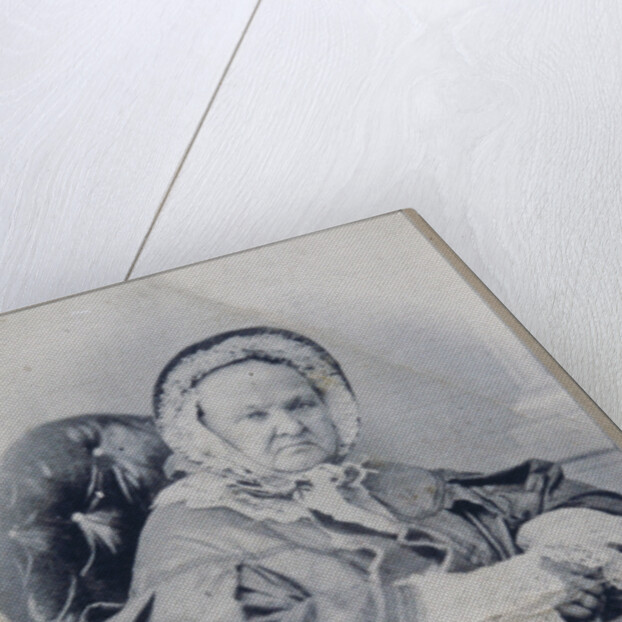 Portrait of Varvara Petrovna Turgeneva, née Lutovinova by Anonymous