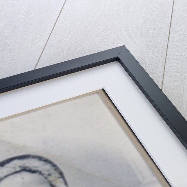 Portrait of Varvara Petrovna Turgeneva, née Lutovinova by Anonymous