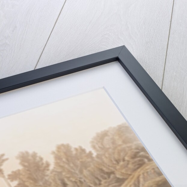 Little Sandpiper, Tringa Pusilla, 1845 by John J. Audubon