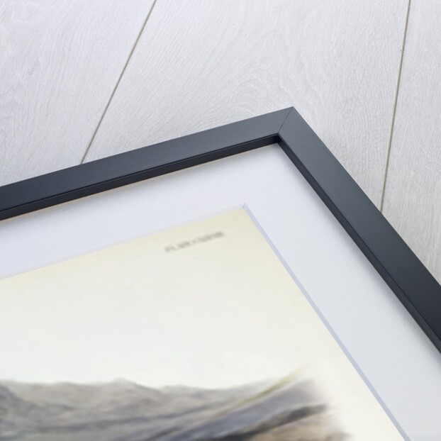 Rocky Mountain Goat, Capra Americana, 1845 by John J. Audubon