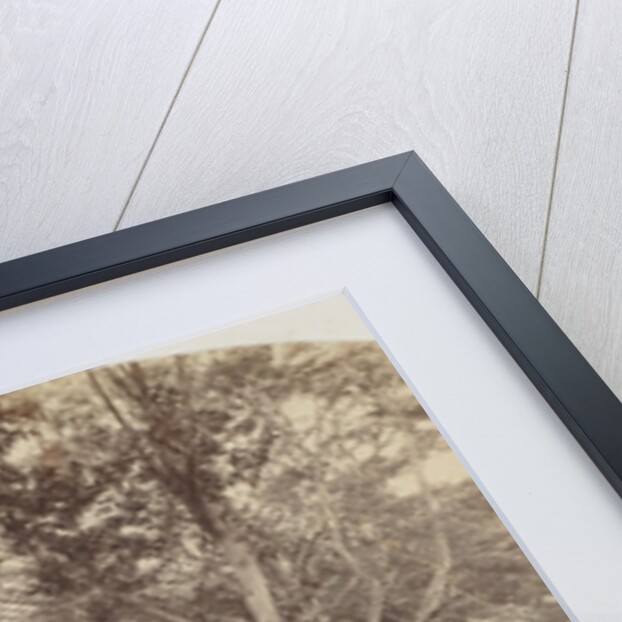 A Path Through a Wood, c. 1860 by Major Francis Gresley