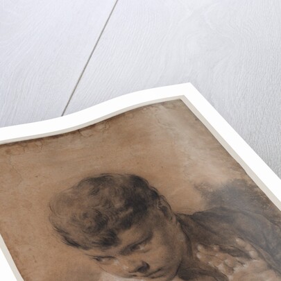 A Portrait of the Artist's Son Giacomo, c. 1735 by Giovanni Battista Piazzetta