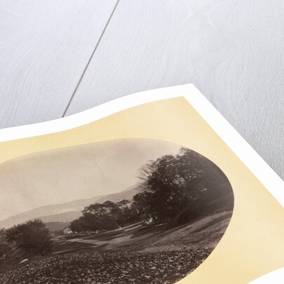 A Road in Williamstown, c. 1870 by George K. Warren