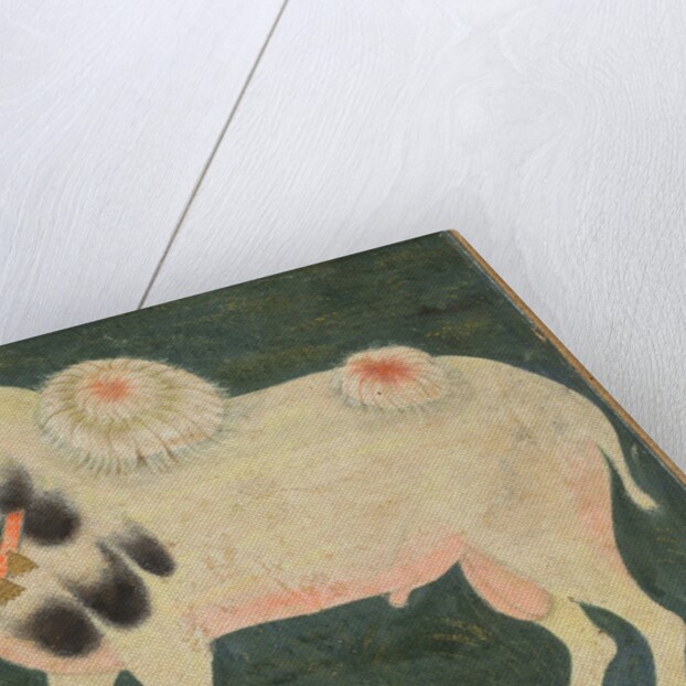 A royal ram with a gold chain, c. 1585; border added probably 1700s by Unknown