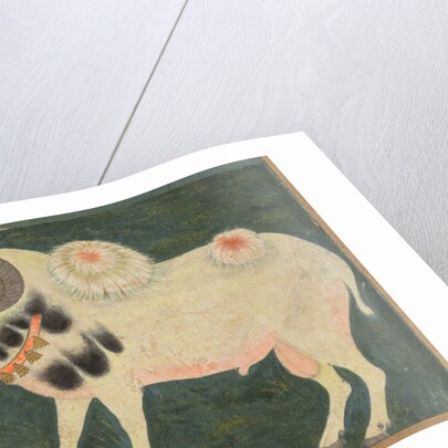 A royal ram with a gold chain, c. 1585; border added probably 1700s by Unknown