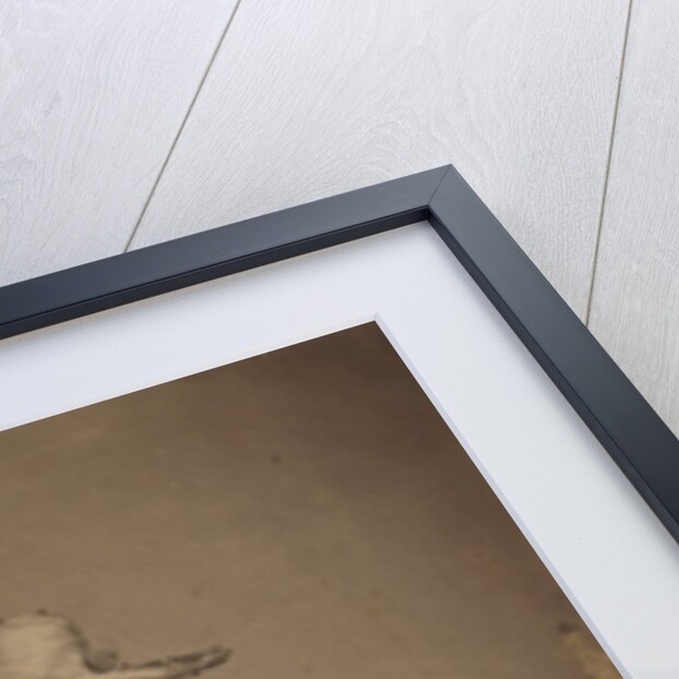 Algerian Woman, late 1850s by Gustave de Beaucorps