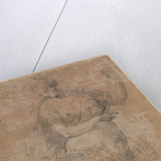 Allegorical Figure, 16th century by Niccolo dell' Abbate