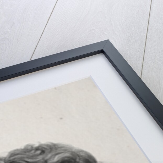 Aloys Senefelder by Lorenzo II Quaglio