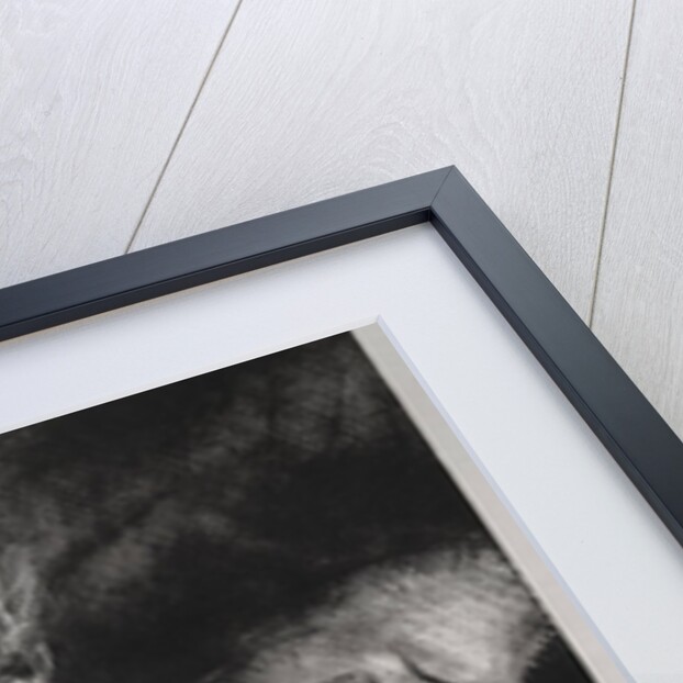 An Attack by a Tiger by Louis Candide Boulanger