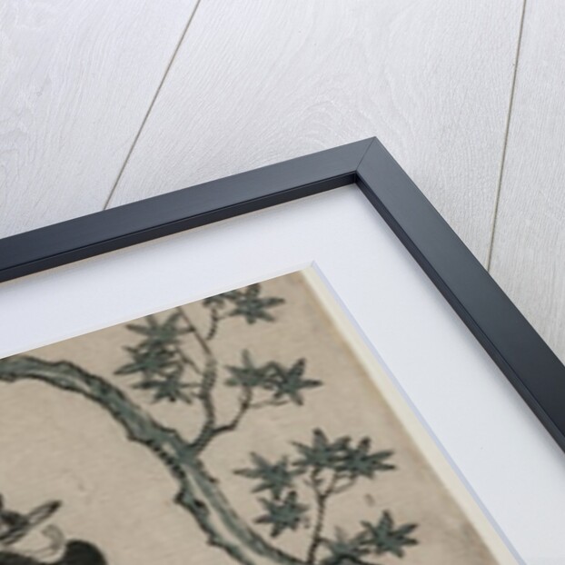 Anekawa Daisuke as Ayame-no-mae, 1760 by Torii Kiyomitsu