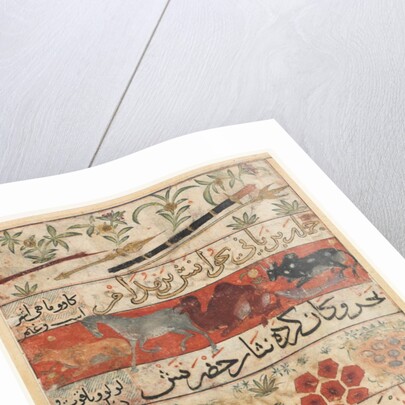 Animals, Precious Stones, Coins, and Musical Instruments; Animals, Birds, and Plants by Unknown