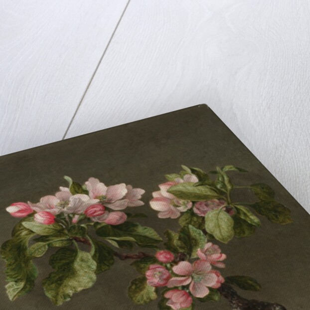 Apple Blossoms, 1873 by Martin Johnson Heade
