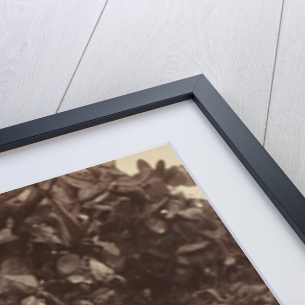 Arab Musicians, 1864 by Ludovico Wolfgang Hart