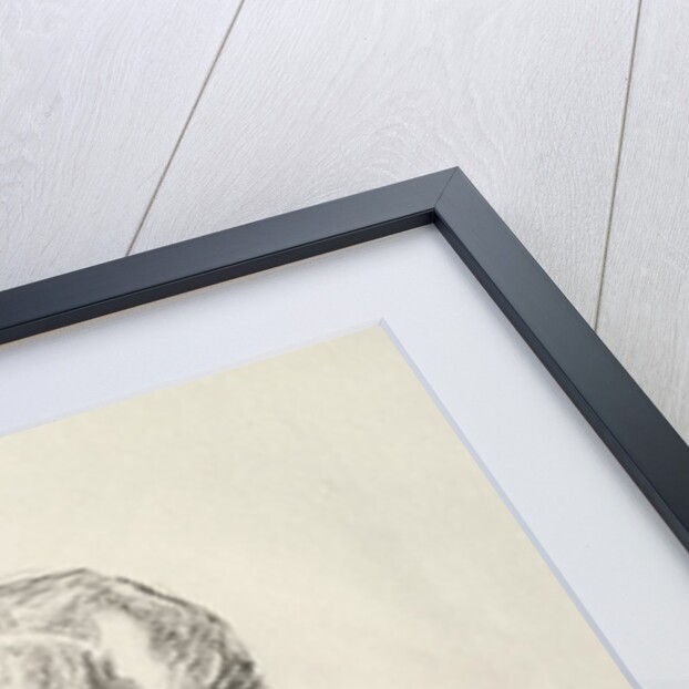 Arno Holz Mappe: Portrait Arno Holz, 1923 by Max Liebermann