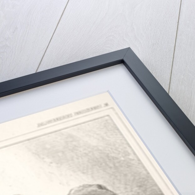 Baliverneries Parisiennes by Paul Gavarni